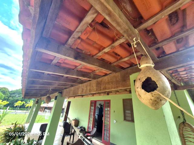 Casa para Venda em Santa Maria da Serra - 4