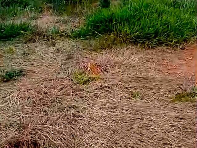 #TE00011 - Terreno para Venda em Cabreúva - SP